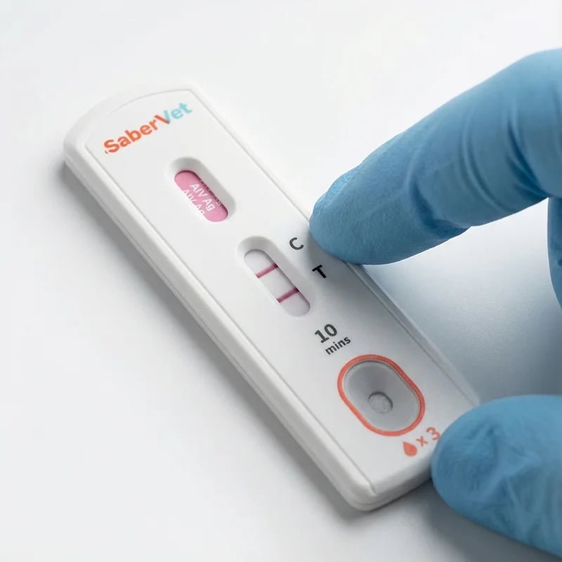 Sabervet Candida Albicans Antigen Rapid Test