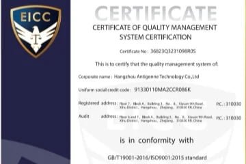 ISO 9001