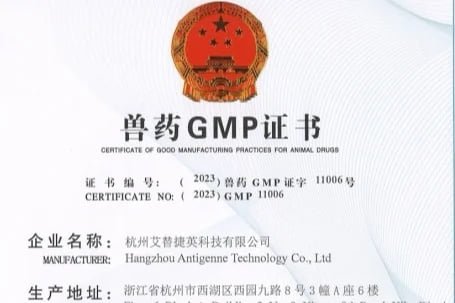 GMP Certification